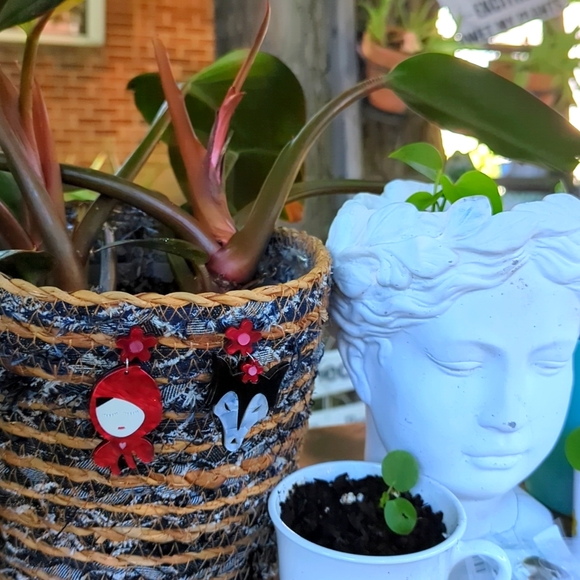 NWT/IP: (unbranded) 🐺🐾🎀RED RIDING HOOD & WOLF🎀🐾🐺 acrylic dangle earrings! - Picture 3 of 5